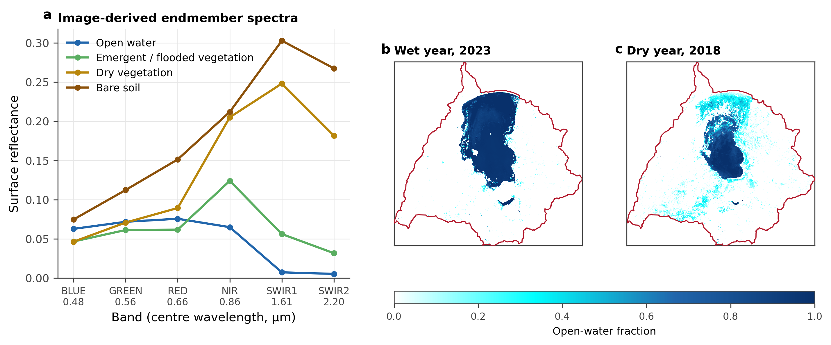Image-derived spectral endmembers and the fractions they resolve. (a) Median surface-reflectance spectrum of each of the four endmembers, drawn from spectrally pure pixels of the 2020 dry-season Landsat composite. (b, c) Sub-pixel open-water fraction for a wet year, 2023, and a recession year, 2018, within the self-derived basin boundary.